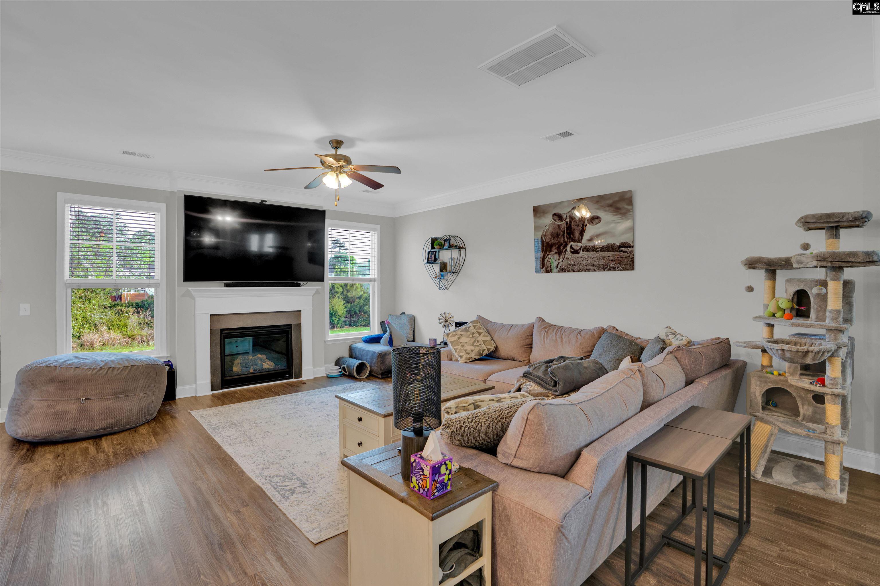 432 Thayer Street Chapin, SC 29036 - Photo 14 of 68