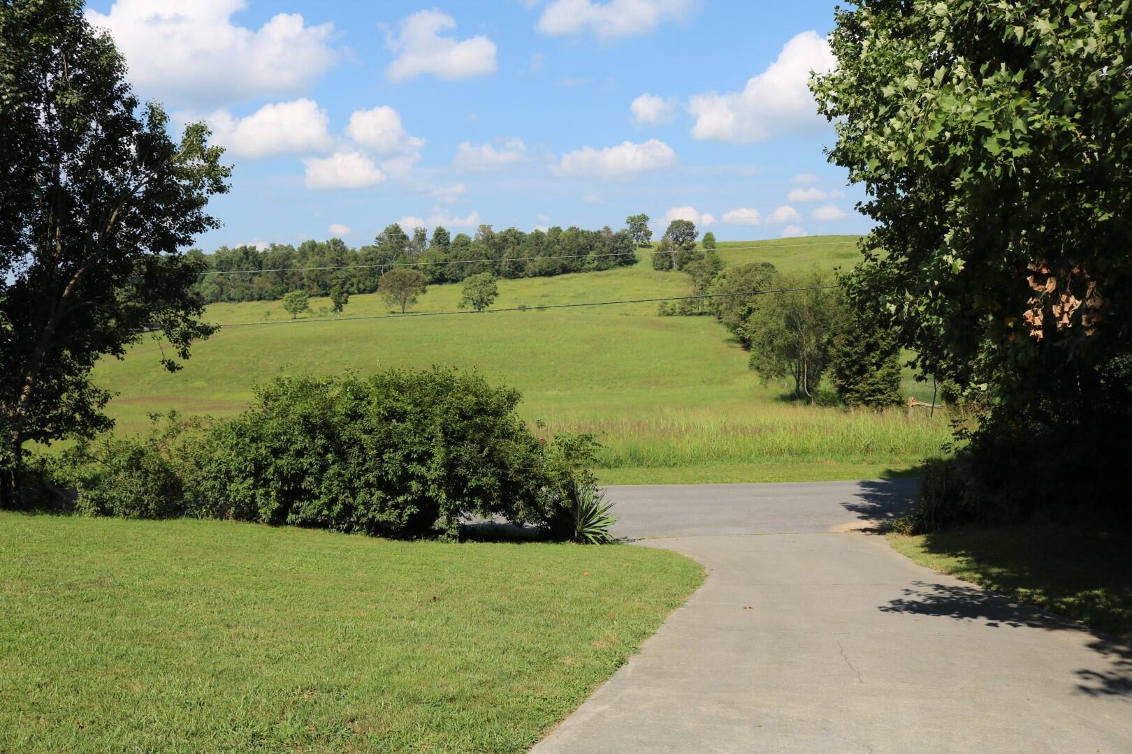 1945 Morrison Road Chuckey, TN 37641 - Photo 33 of 38 IMG_4500