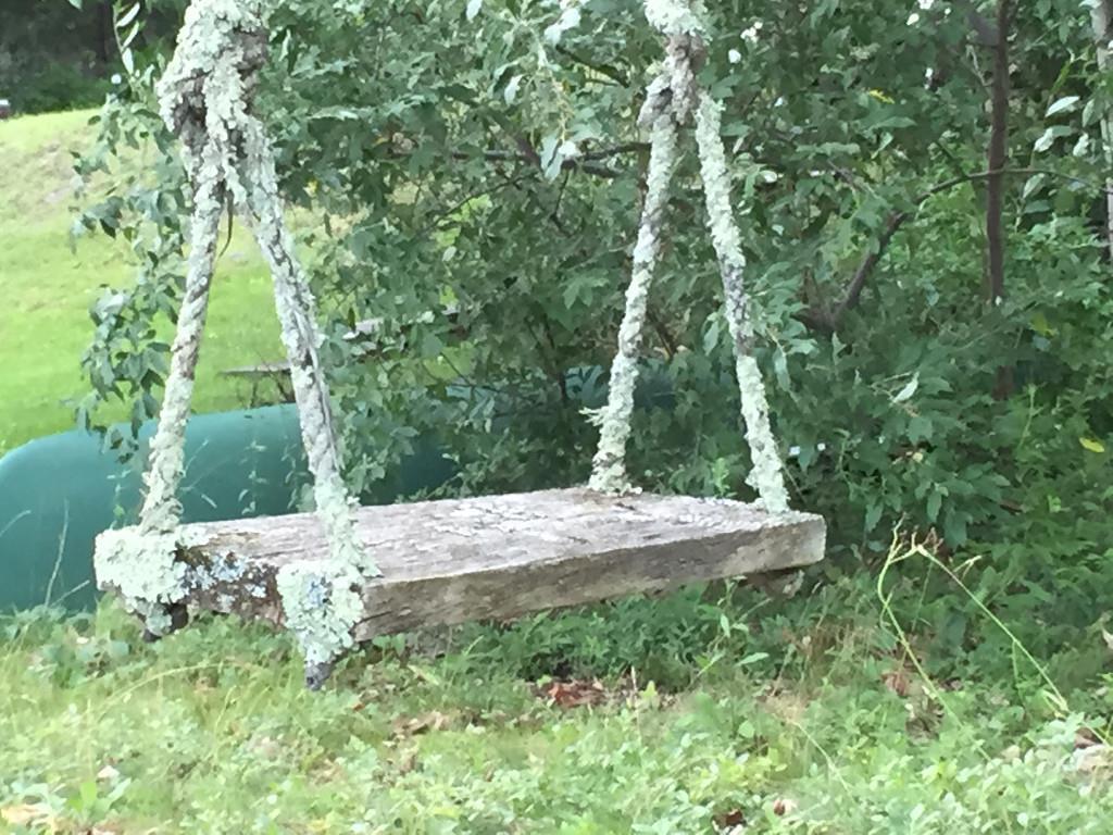 0 Heal Shore Road Liberty, ME 04949 - Photo 6 of 6 Beautiful lichen covered old swing.