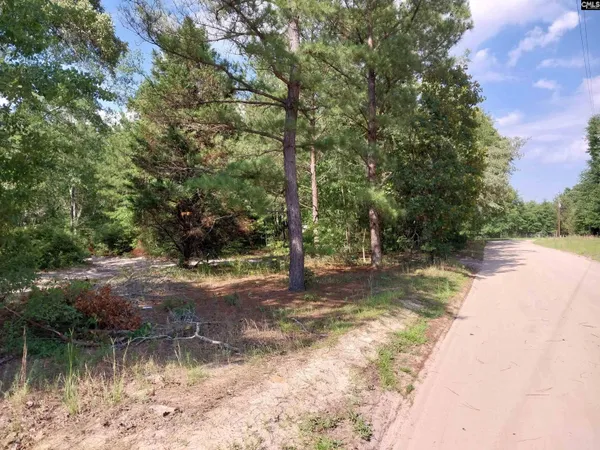 $39,000 | 143 Tom Lucas Lane, Pelion, SC 29123