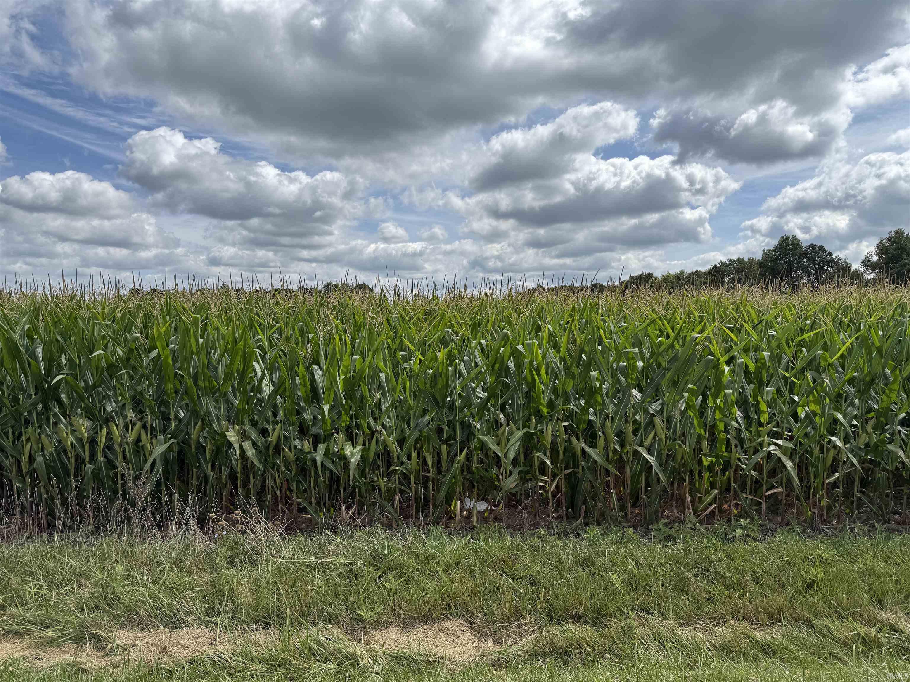 300 North E Road Decatur, IN 46733 - Photo 2 of 4