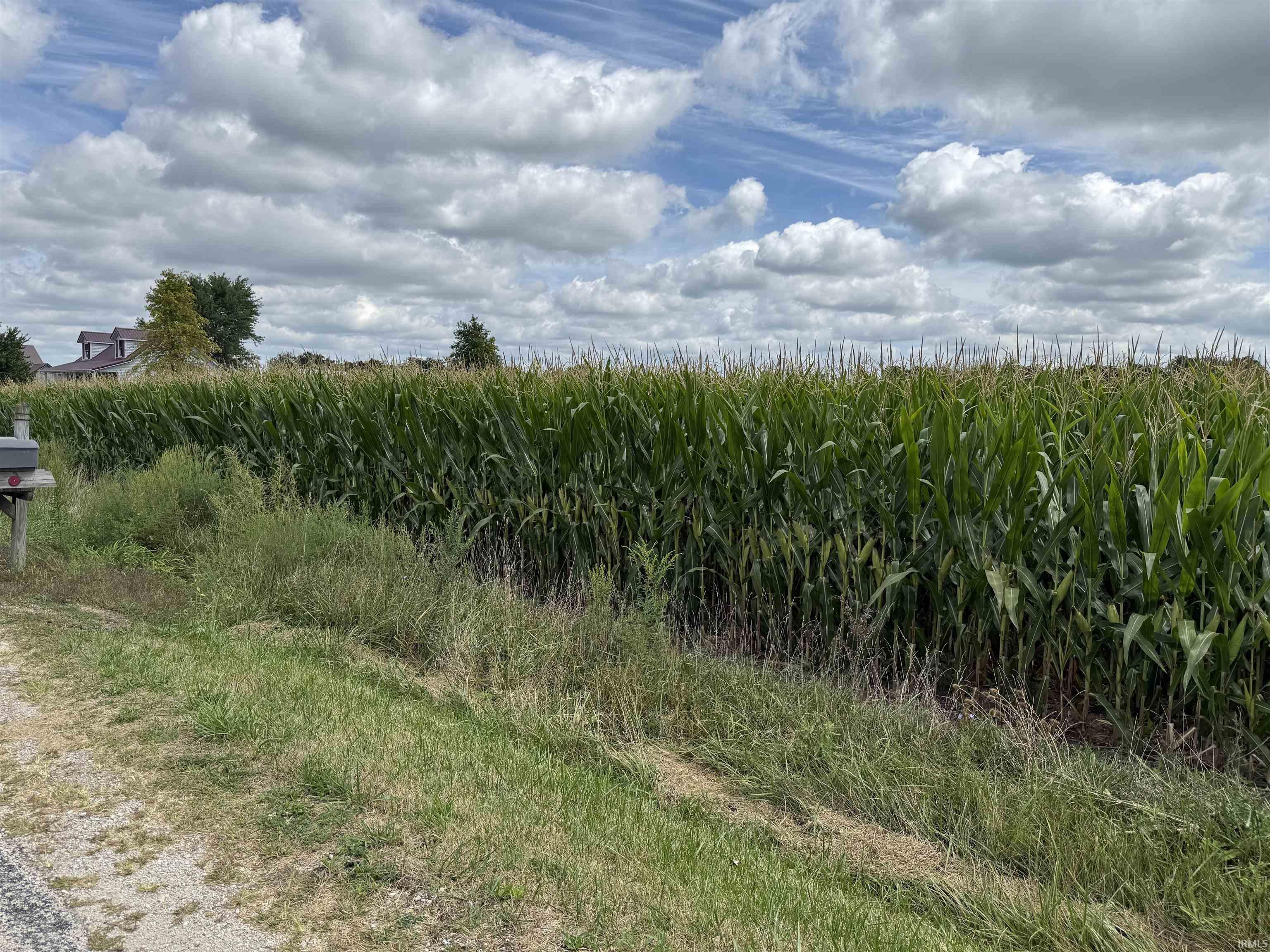 300 North E Road Decatur, IN 46733 - Photo 3 of 4