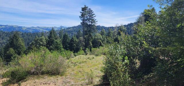 0 French Road Miranda, CA 95553 - Photo 2 of 19
