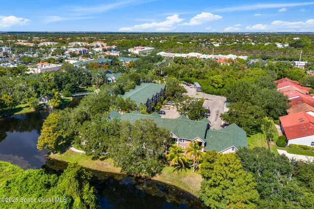 a backyard of a house with plants and large trees