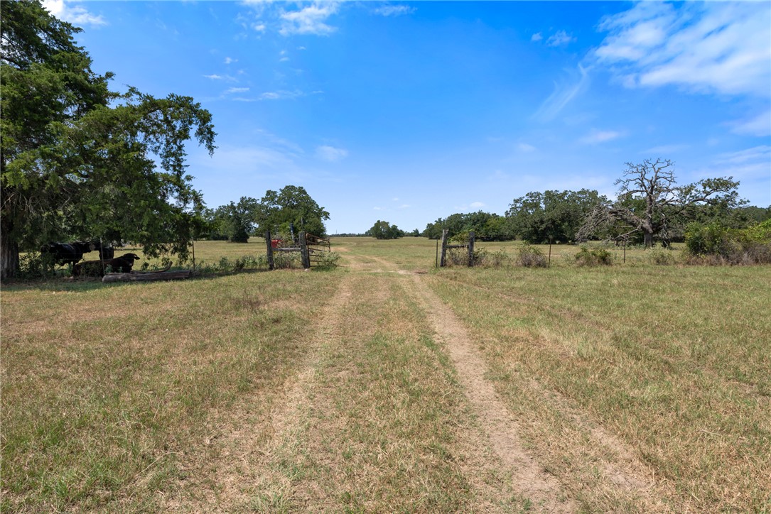 4796 Britten Road Bryan, TX 77807 - Photo 12 of 41