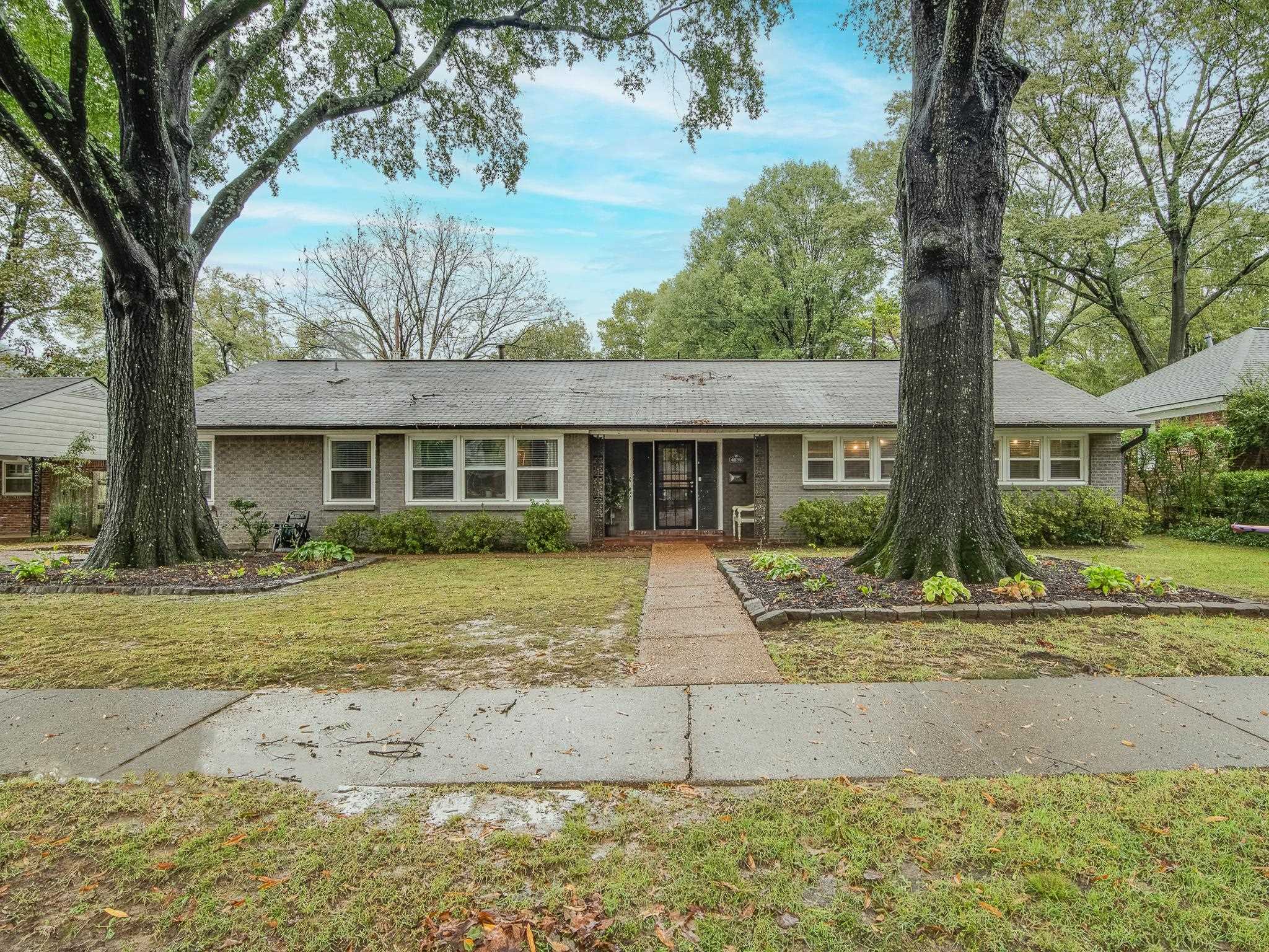 4898 Dee Road Memphis, TN 38117 - Photo 1 of 40 a view of a house with a yard and large tree