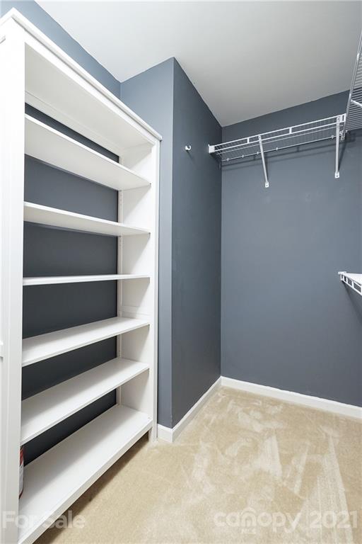 13769 Singleleaf Lane Charlotte, NC 28278 - Photo 18 of 25