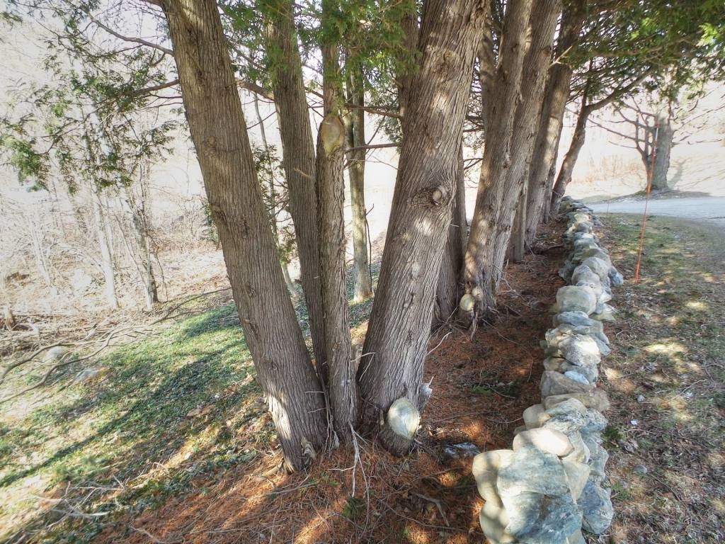 924 Pond Road Hinesburg, VT 05461 - Photo 34 of 36