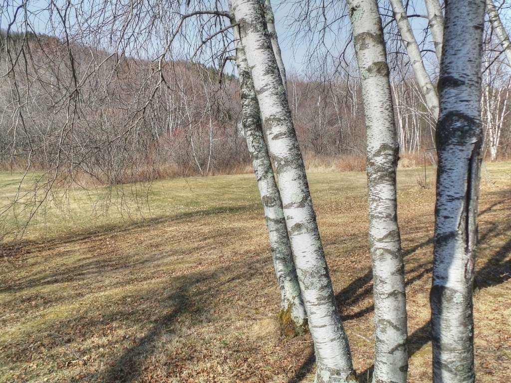 924 Pond Road Hinesburg, VT 05461 - Photo 6 of 36