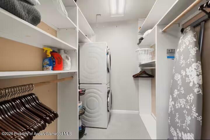 107 Aspen Mountain Road, Unit 9 Aspen, CO 81611 - Photo 13 of 19 a view of storage and utility room