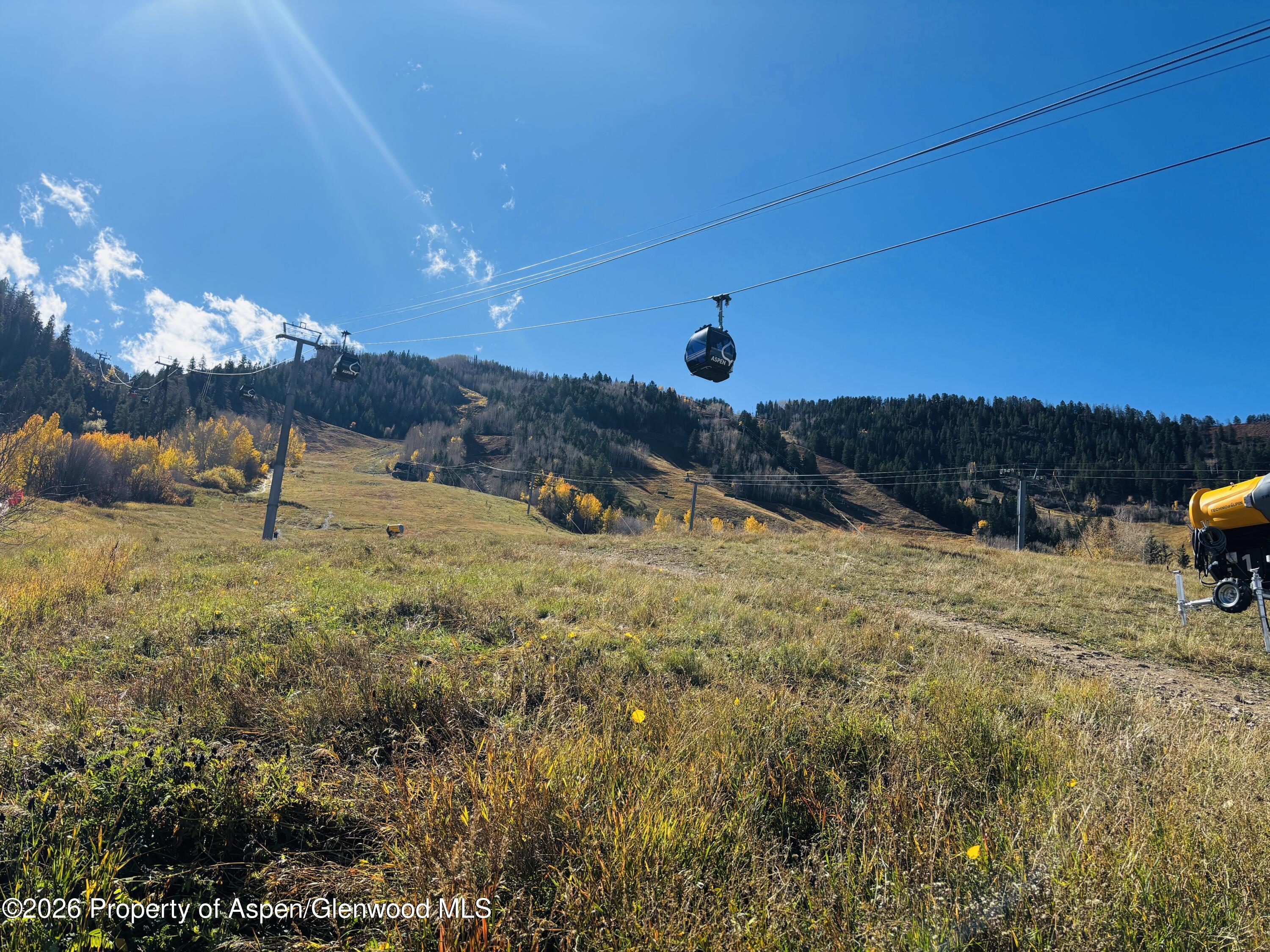 107 Aspen Mountain Road, Unit 9 Aspen, CO 81611 - Photo 17 of 19 a view of a backyard