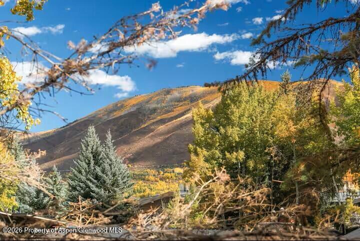 107 Aspen Mountain Road, Unit 9 Aspen, CO 81611 - Photo 19 of 19 a view of a yard