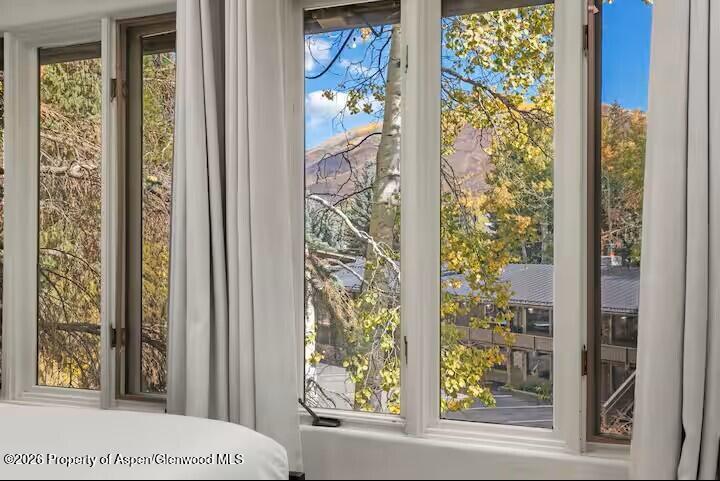 107 Aspen Mountain Road, Unit 9 Aspen, CO 81611 - Photo 10 of 19 a bathroom with a window and a shower curtain