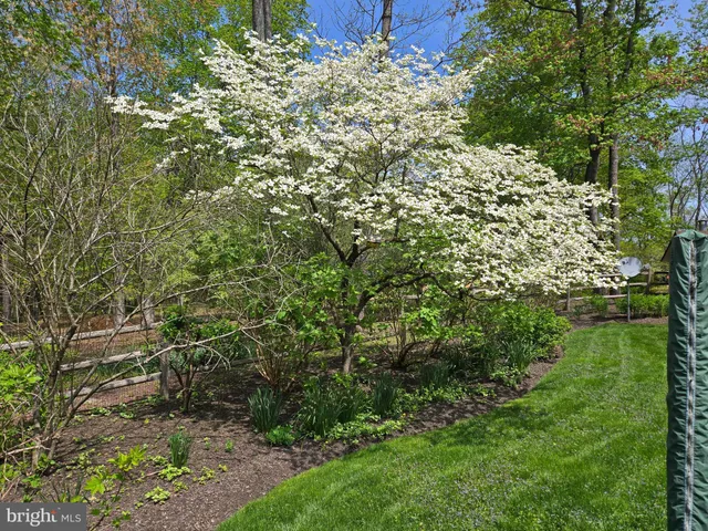 $3,000,000 | 260 Cafferty Road, Pipersville, PA 18947