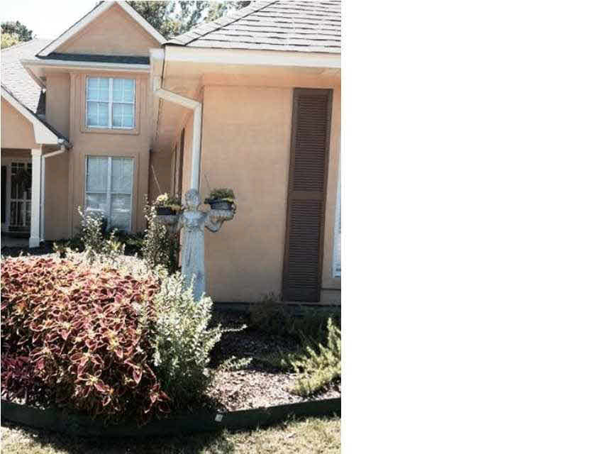 33 Lamplighter Road Pearl, MS 39208 - Photo 4 of 11 Photo 4