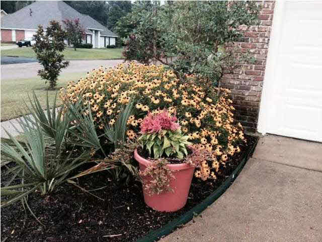 33 Lamplighter Road Pearl, MS 39208 - Photo 6 of 11 Photo 6