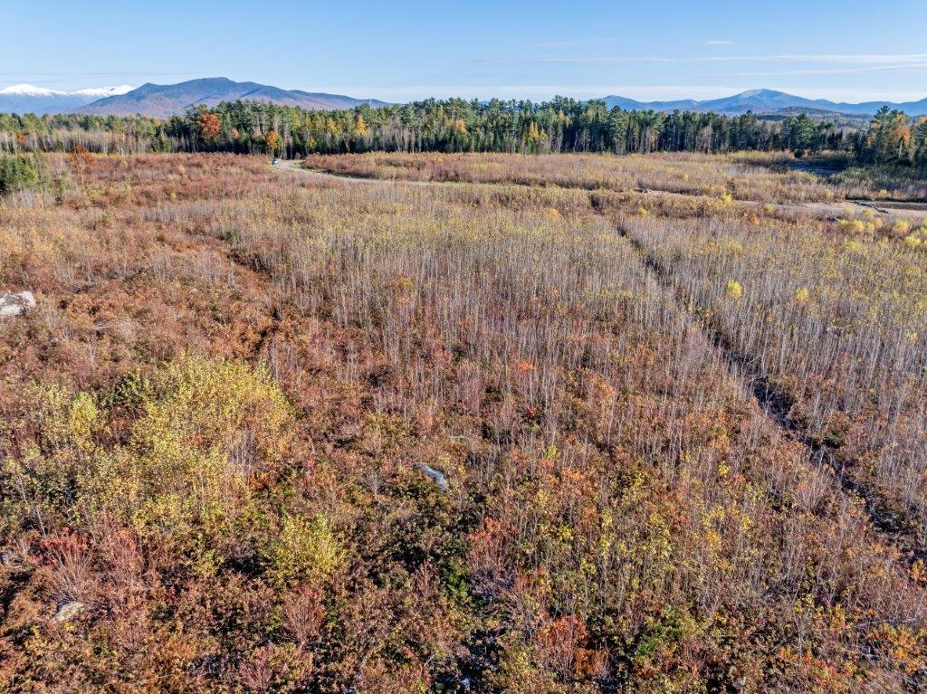 Lot 4 Mcintyre Road Dalton, NH 03598 - Photo 2 of 8 Gallery Image 2
