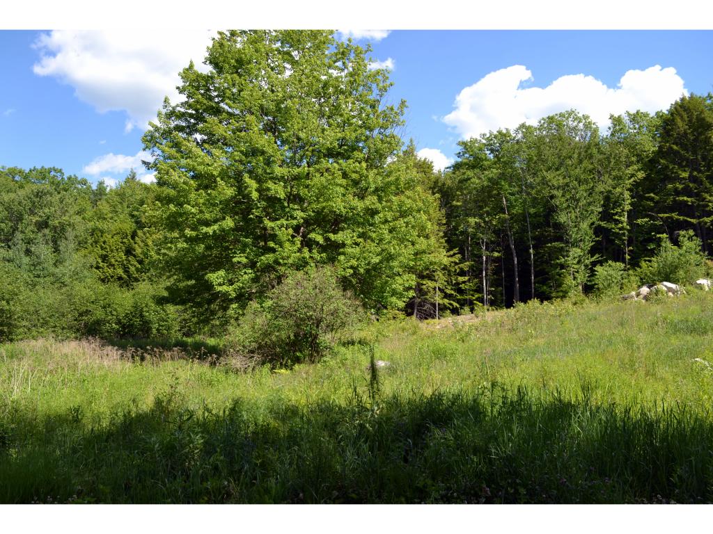 17 Switzer Road Bennington, NH 03442 - Photo 8 of 10