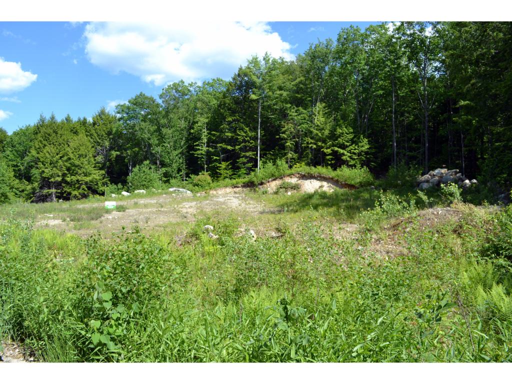 17 Switzer Road Bennington, NH 03442 - Photo 9 of 10