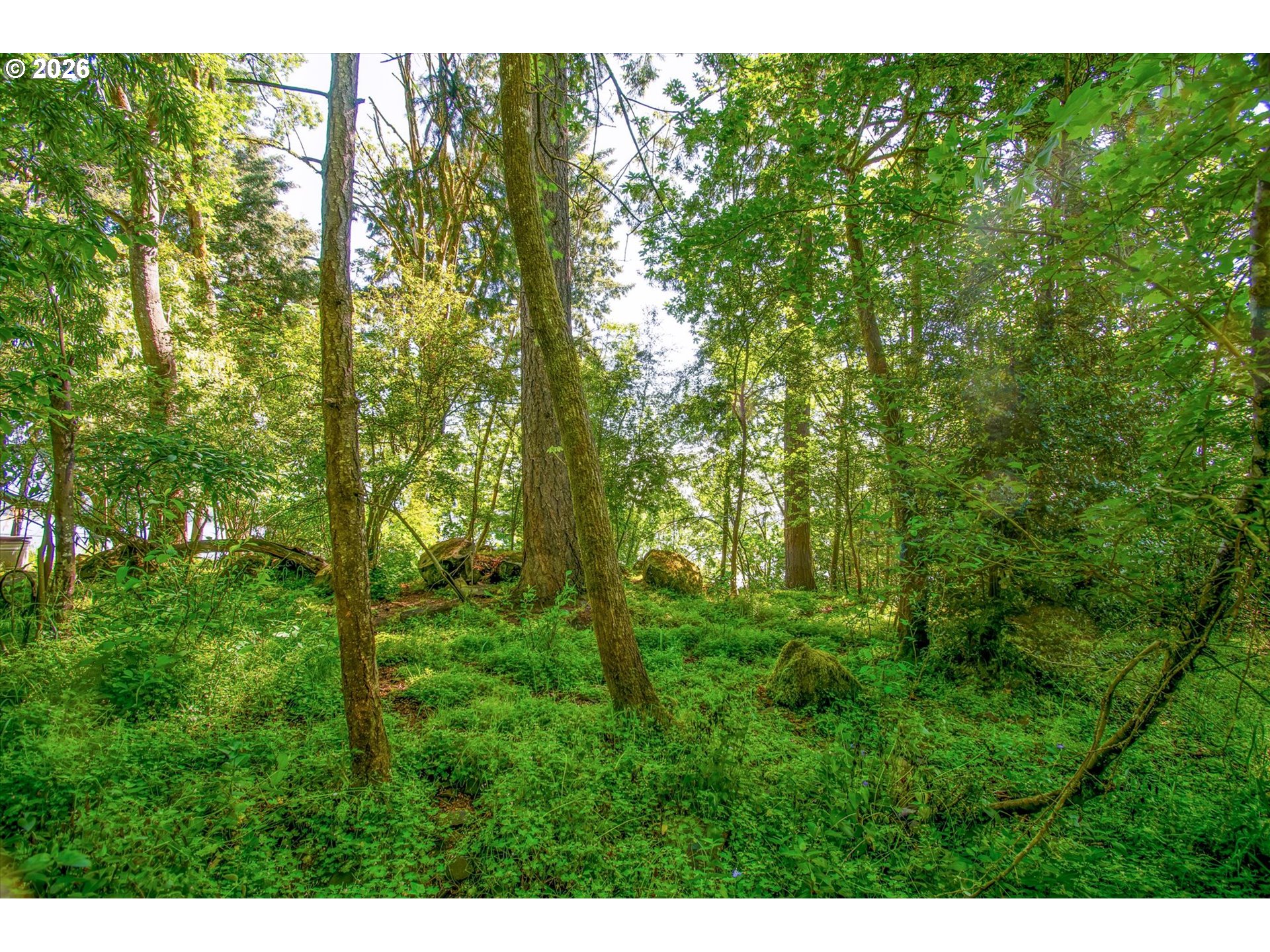 River Cliffs Drive St. Helens, OR 97051 - Photo 11 of 20