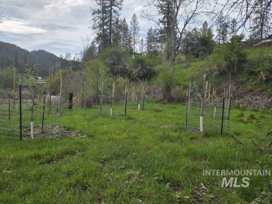 124 Windmill Lane Kooskia, ID 83539 - Photo 11 of 50