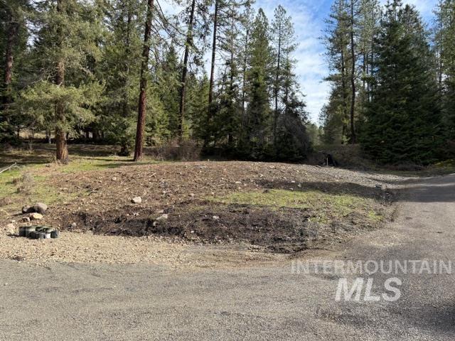 124 Windmill Lane Kooskia, ID 83539 - Photo 32 of 47 View of local wilderness