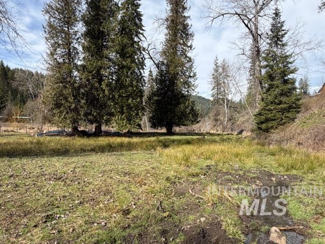124 Windmill Lane Kooskia, ID 83539 - Photo 34 of 47 View of local wilderness with rural landscape