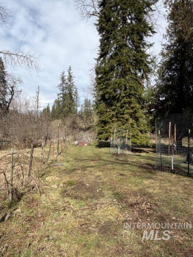 124 Windmill Lane Kooskia, ID 83539 - Photo 35 of 47 View of green lawn