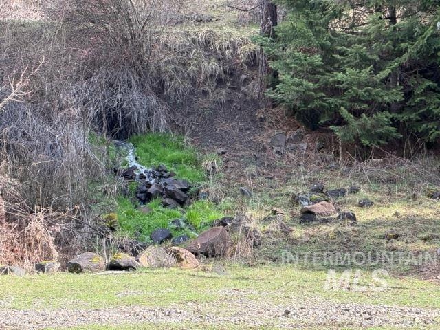 124 Windmill Lane Kooskia, ID 83539 - Photo 37 of 50 View of local wilderness