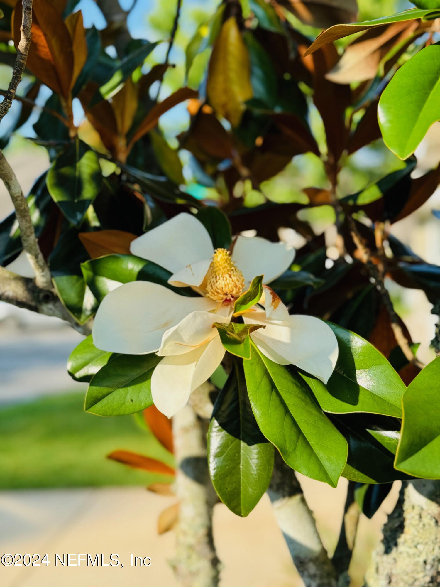 305 Blue Lake Road, Unit 2 St. Johns, FL 32259 - Photo 2 of 45