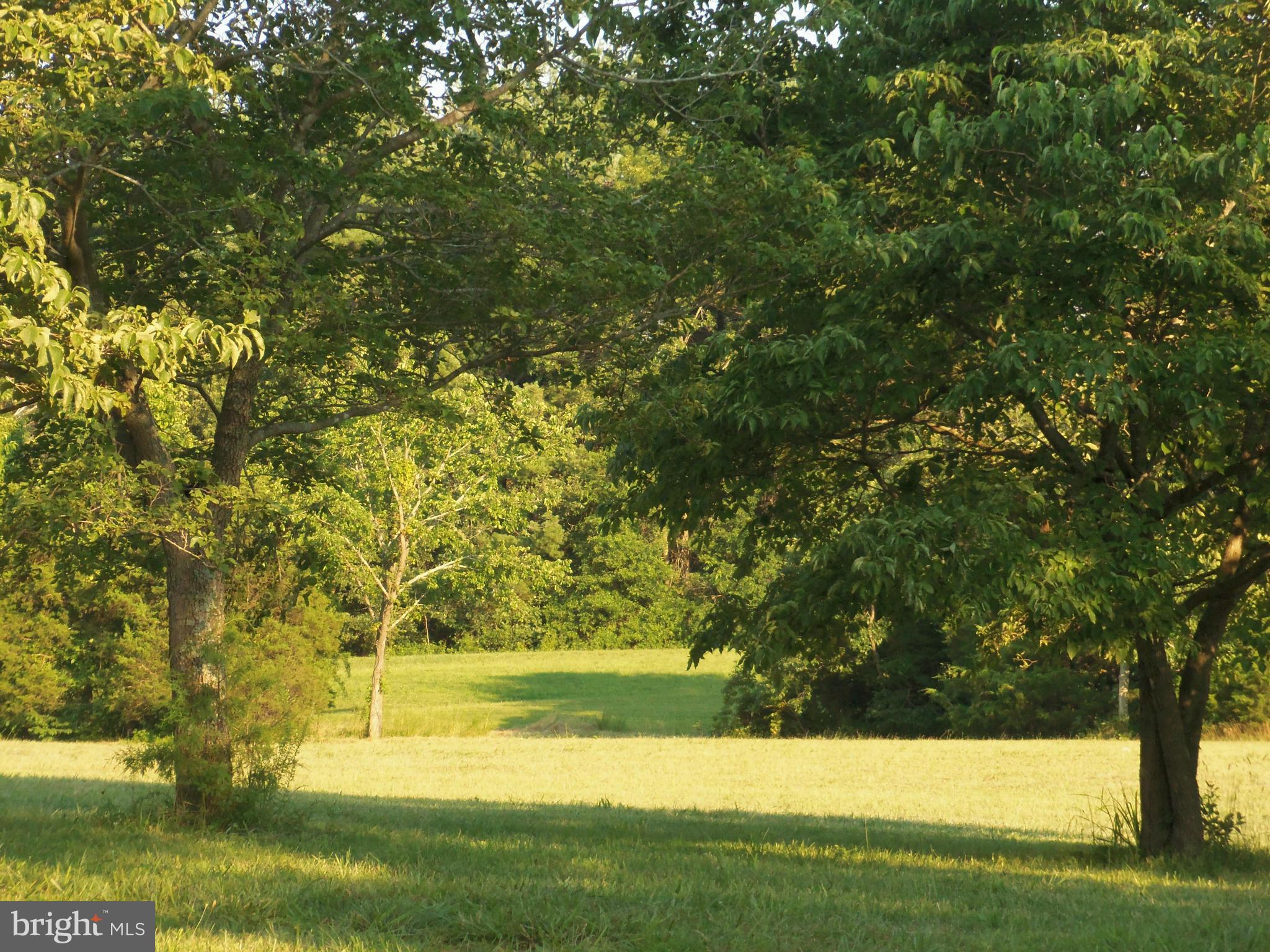 5200 Block Of Germantown Road Midland, VA 22728 - Photo 4 of 6 View