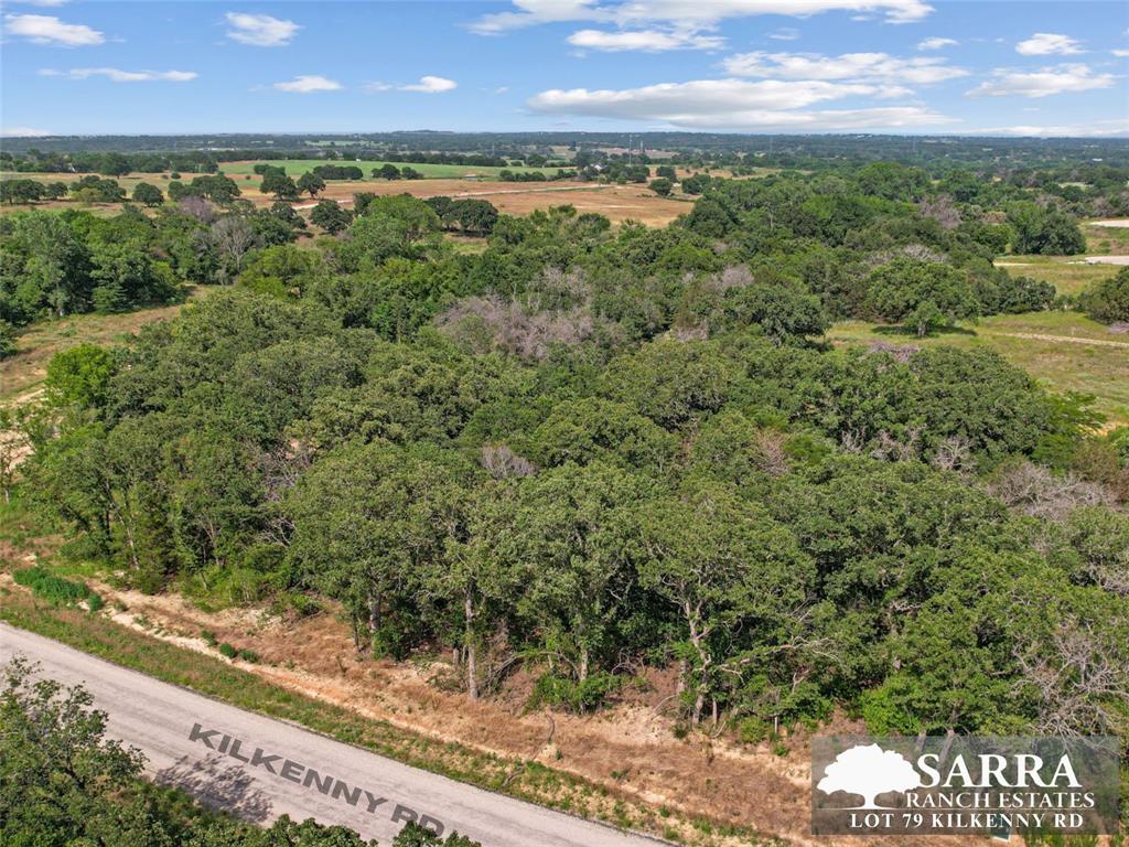 Lot 79 Kilkenney Road Poolville, TX 76487 - Photo 9 of 11