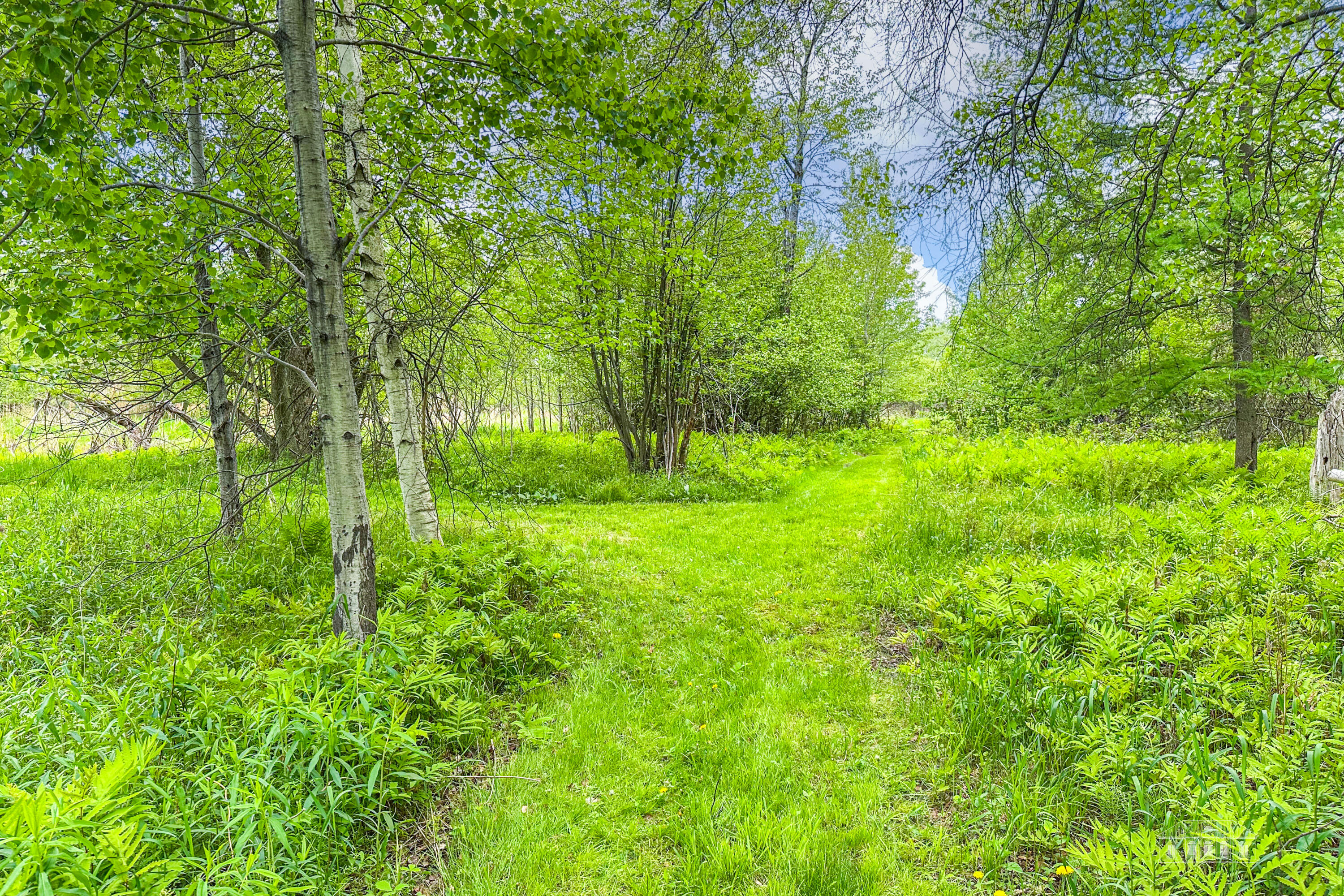 163 Callahan Road Burke, NY 12917 - Photo 14 of 40 163 Callahan Rd Burke Summer-7
