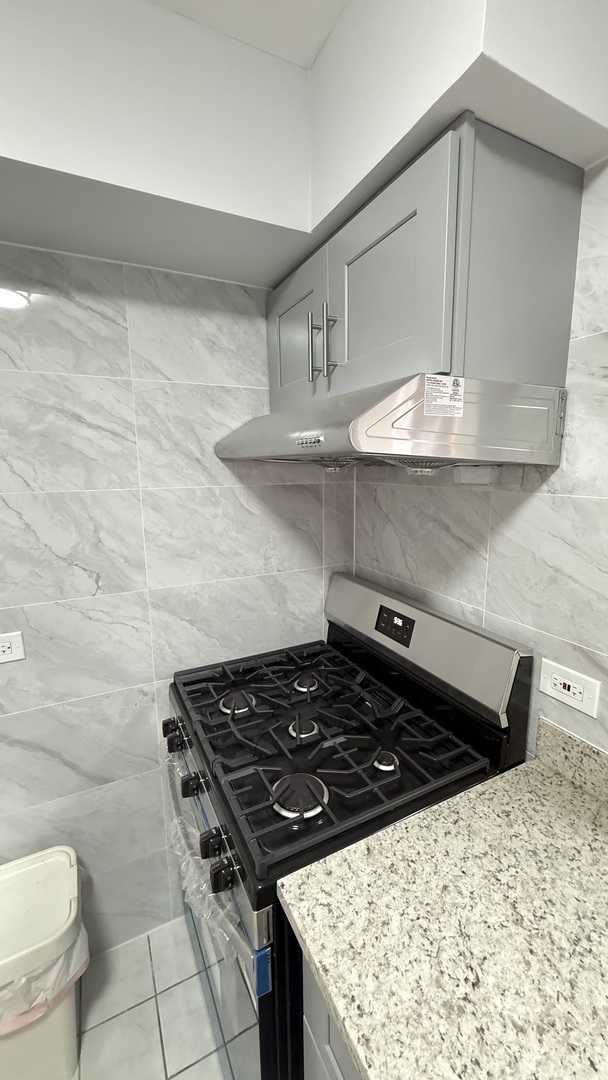 341 West 24th Street, Unit 3 Chicago, IL 60616 - Photo 4 of 12