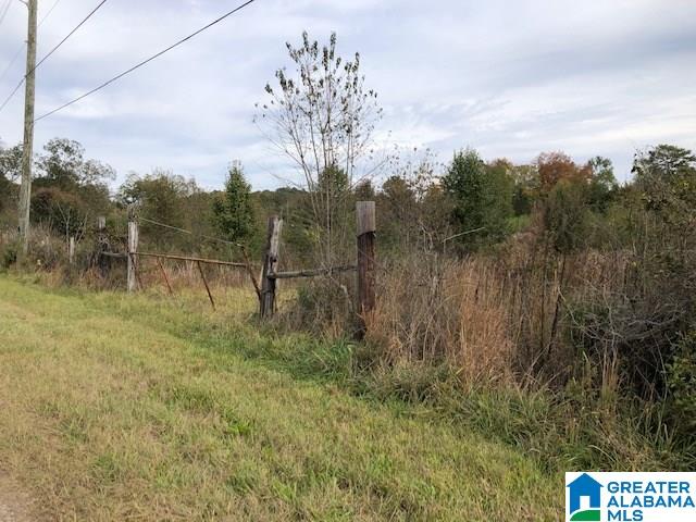 0 Hackney Street, Unit 8 29 ACRES Lincoln, AL 35096 - Photo 2 of 18