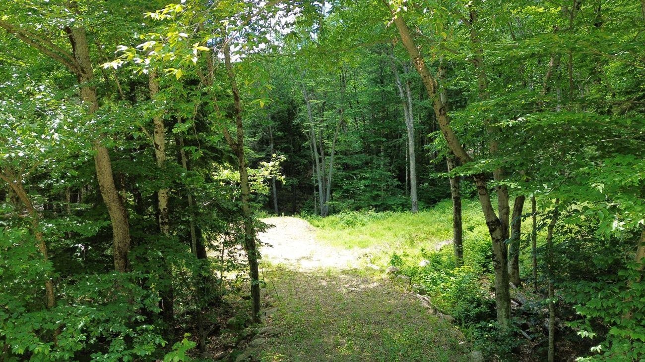 151 Red Coat Lane Stoddard, NH 03464 - Photo 7 of 23