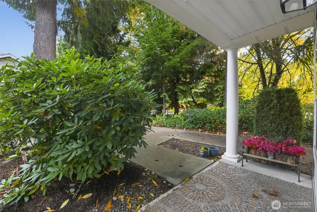 a street view with couple of potted plants and palm trees