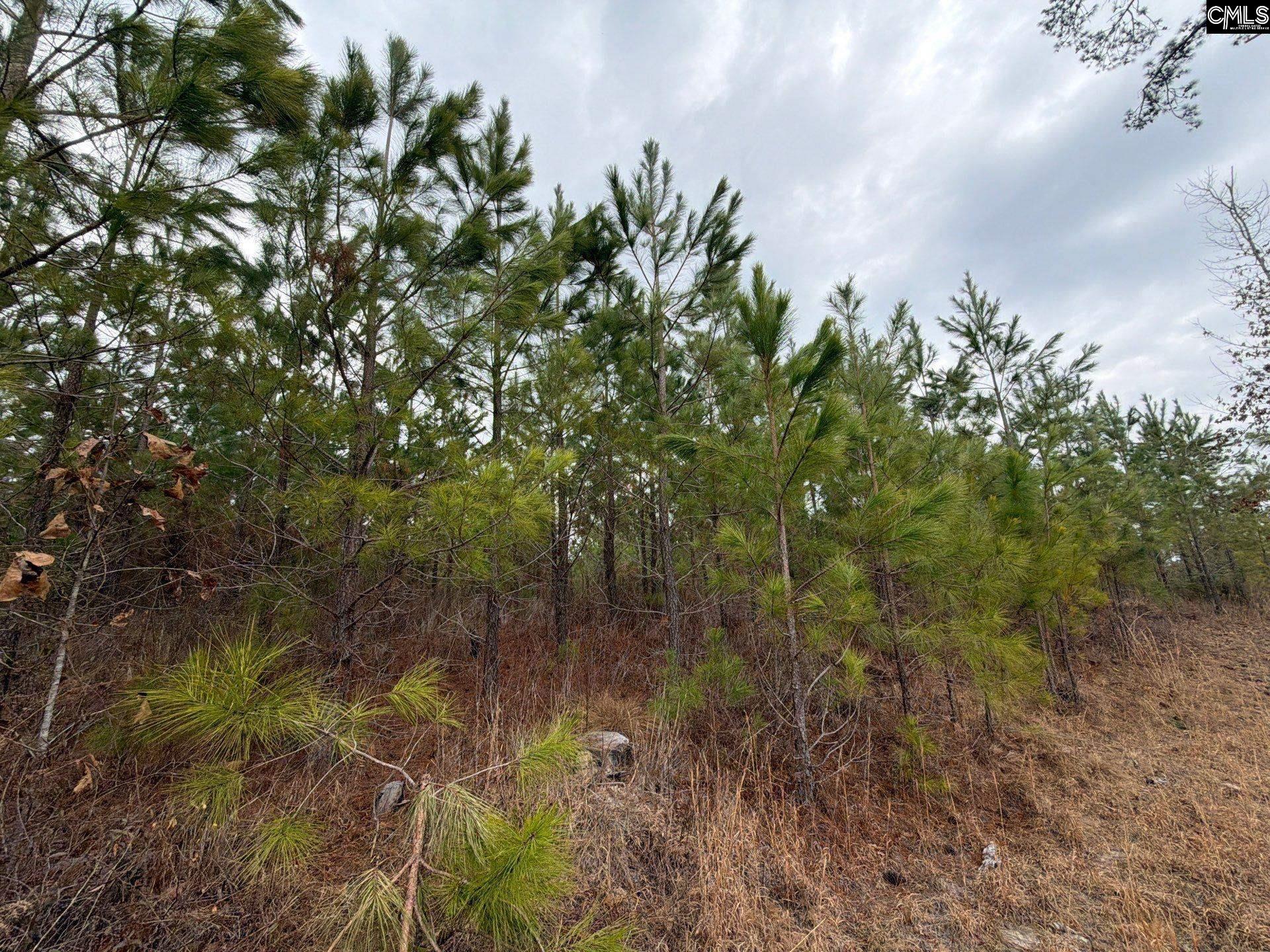 3 Jc Barefoot Road, Unit BFF II 3 Patrick, SC 29584 - Photo 14 of 23