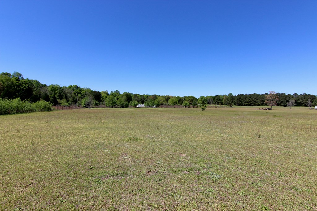 114 McLendon Road Fort Mitchell, AL 36856 - Photo 33 of 37 Back Yard