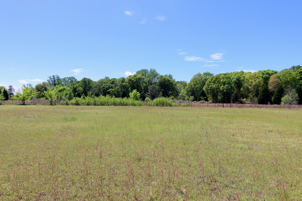 114 McLendon Road Fort Mitchell, AL 36856 - Photo 34 of 37 Back Yard