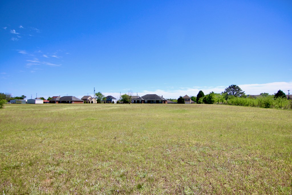 114 McLendon Road Fort Mitchell, AL 36856 - Photo 35 of 37 Back Yard