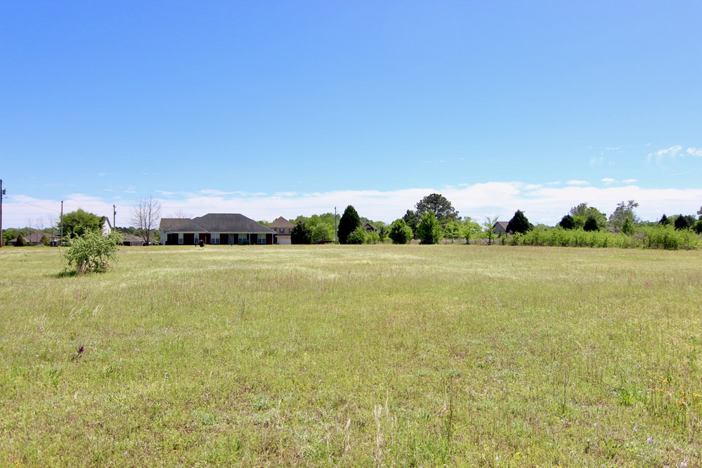 114 McLendon Road Fort Mitchell, AL 36856 - Photo 36 of 37 Back Yard