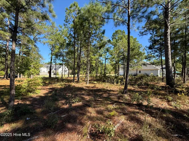 $235,000 | 3705 Little Berry Place Northeast, Leland, NC 28451