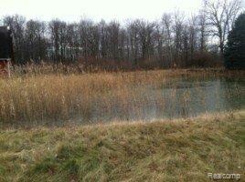 2070 Arlington Road Columbus, MI 48063 - Photo 8 of 11 property.JPG