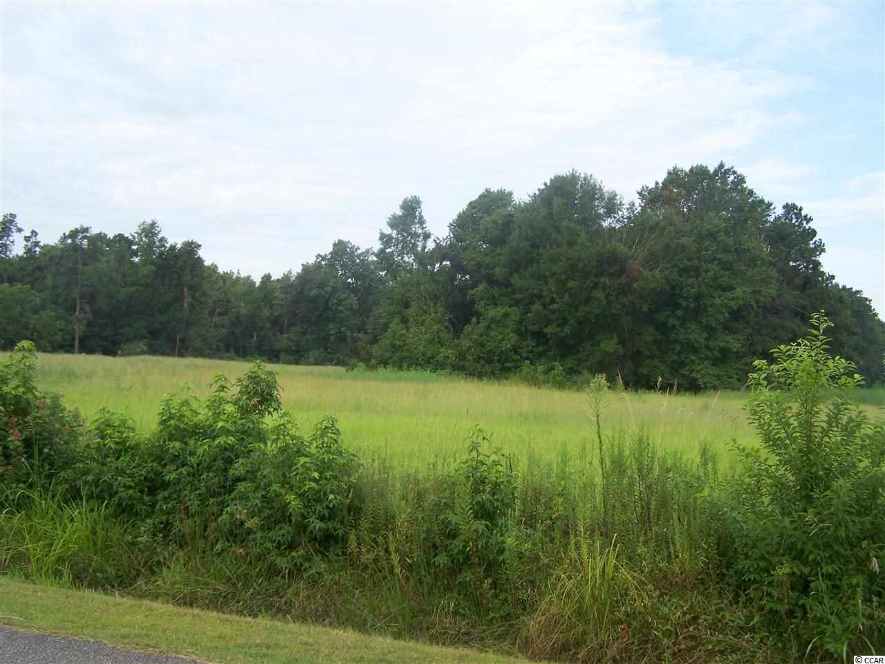 Long Branch Road Conway, SC 29526 - Photo 1 of 2 Gallery Image 1