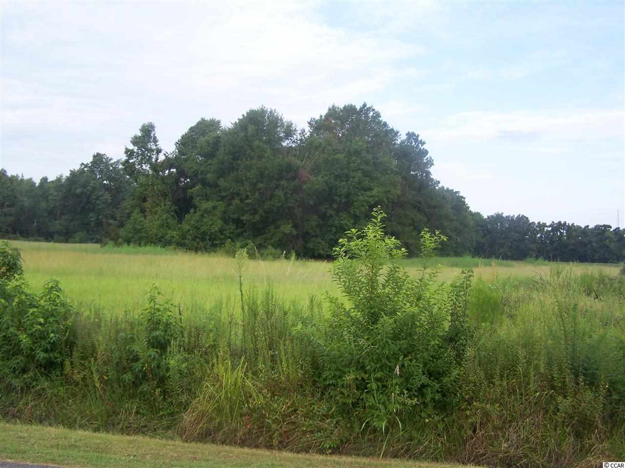 Long Branch Road Conway, SC 29526 - Photo 2 of 2 Gallery Image 2