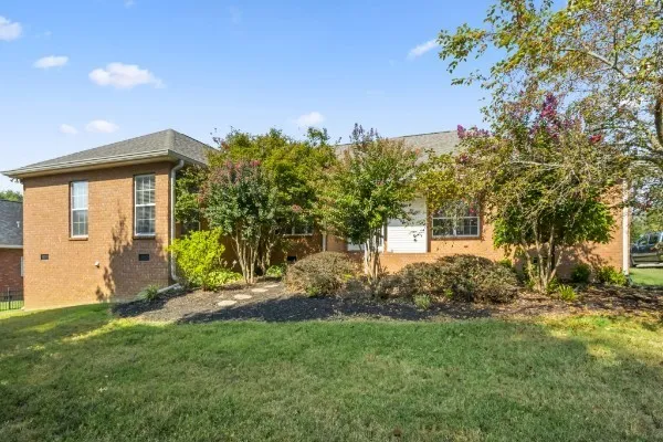 a view of a backyard with plants and large trees