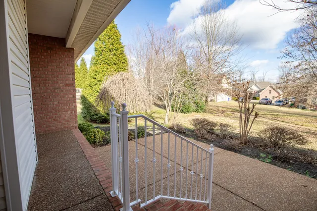 a view of dirt yard with a large tree
