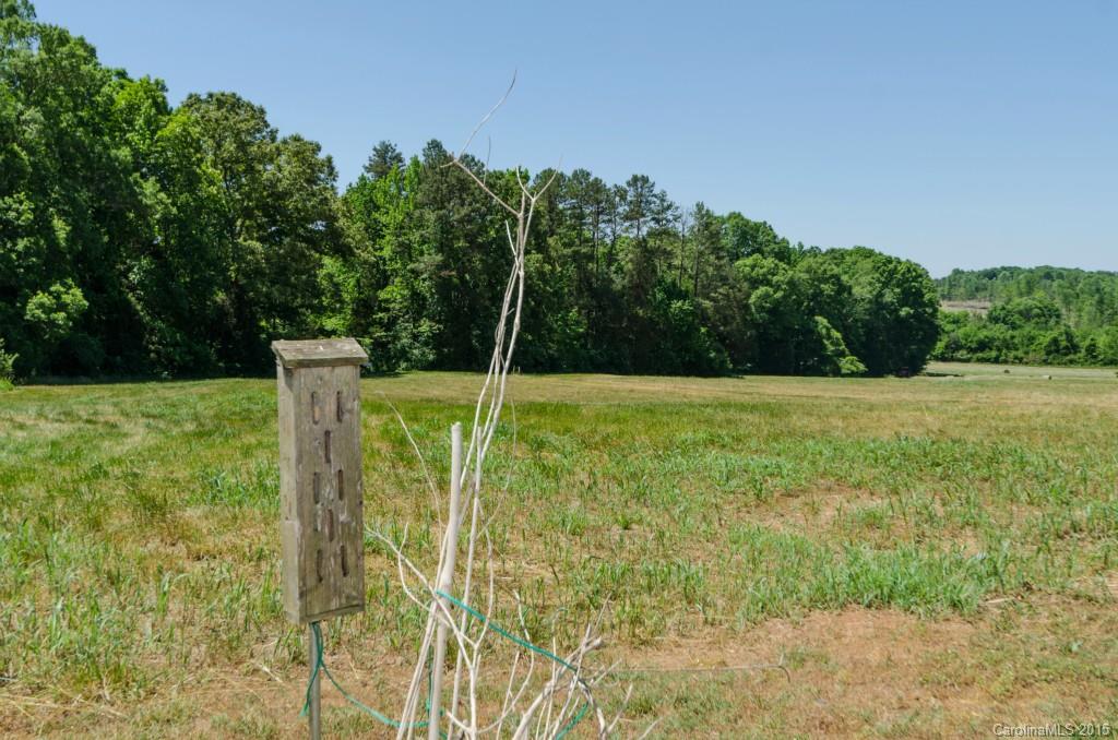 21601 Shearer Road Davidson, NC 28036 - Photo 4 of 21 Gallery Image 4