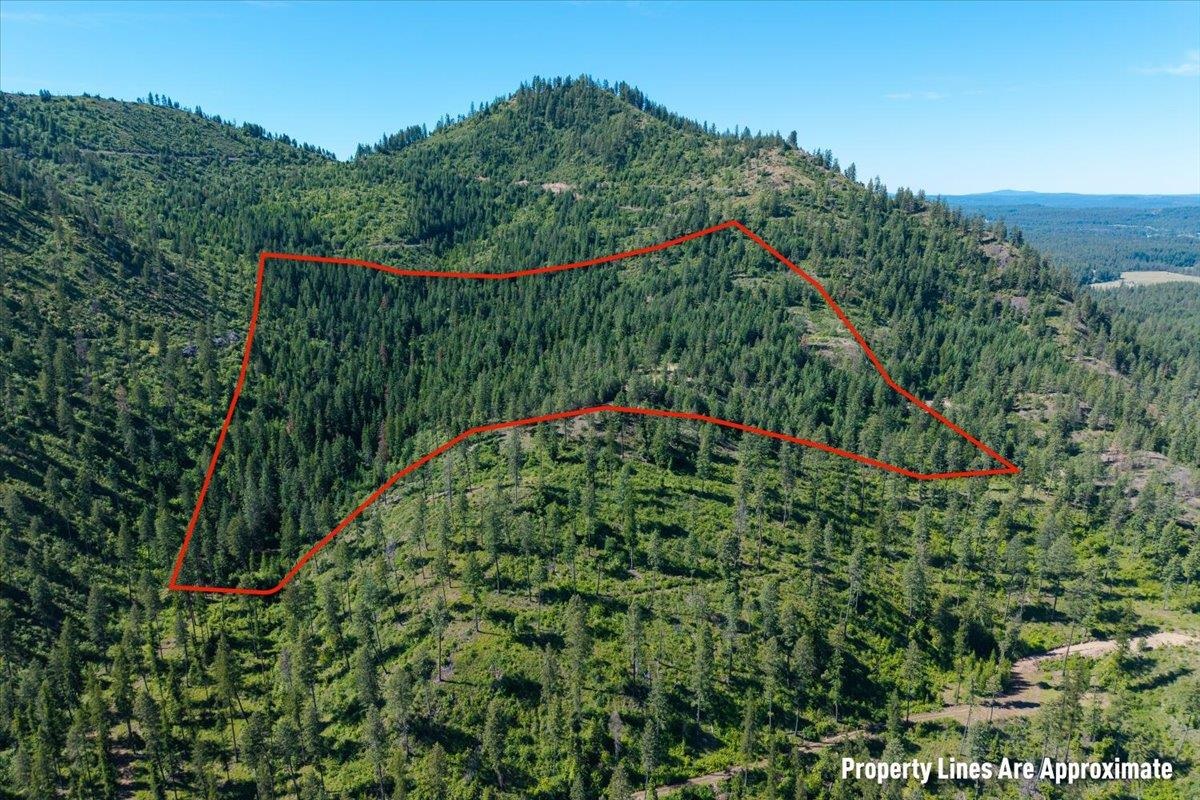 3-xxx Beitey Road Valley, WA 99181 - Photo 11 of 30